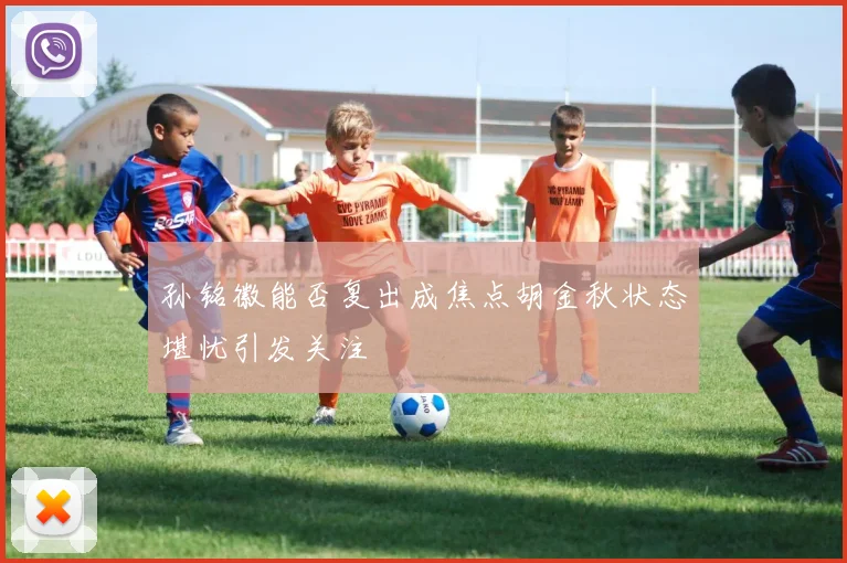 孙铭徽能否复出成焦点胡金秋状态堪忧引发关注
