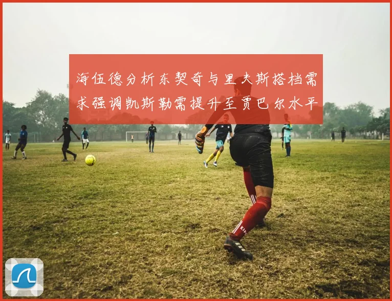海伍德分析东契奇与里夫斯搭档需求强调凯斯勒需提升至贾巴尔水平